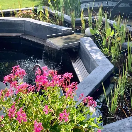 B&B Uden-Zuid Bed & Breakfast